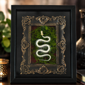 Framed Snake Bones – Gothic Natural History Art