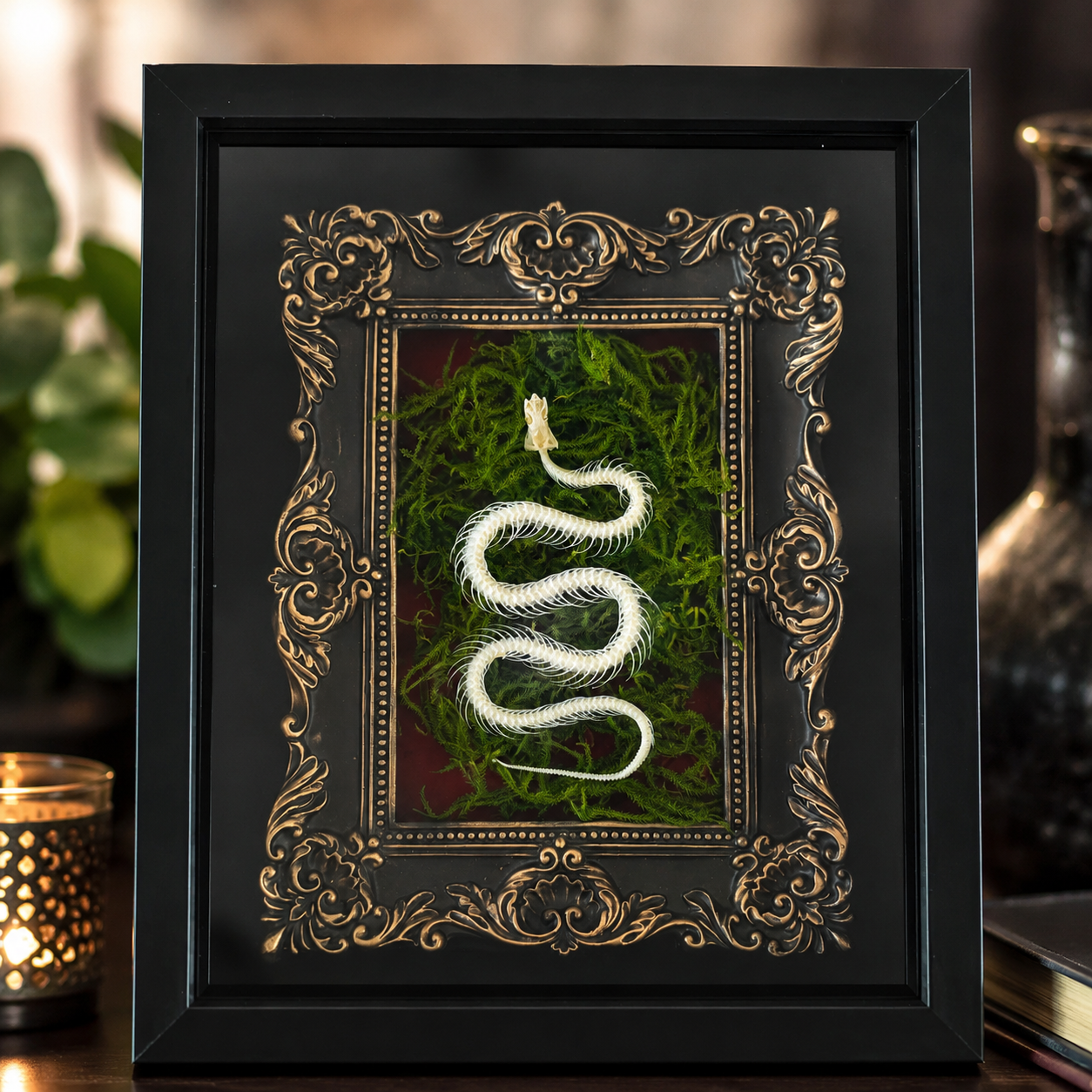 Framed Snake Bones – Gothic Natural History Art